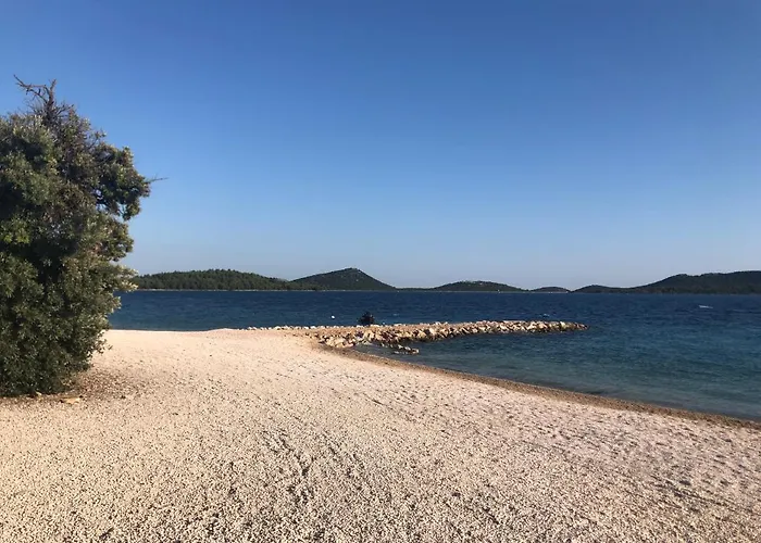 Buqez Sunrise 62