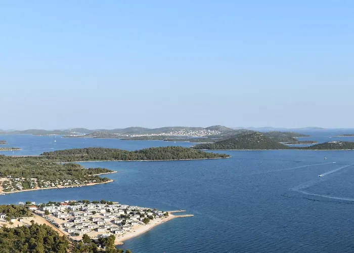 Buqez Sunrise 62 드라게