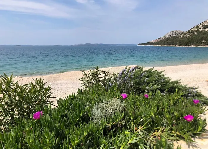 Buqez Sunrise 62 * 드라게