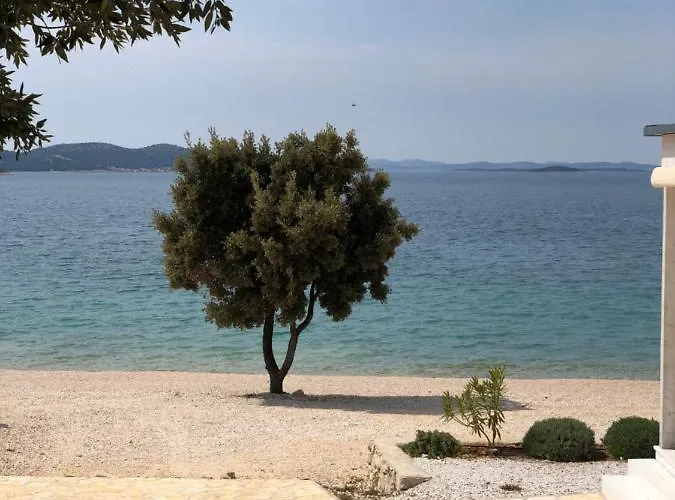 Buqez Sunrise 62 드라게